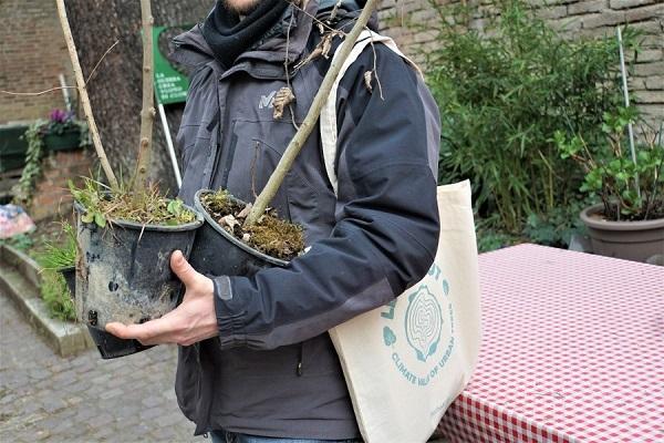Adopt and plant a tree for the climate_Bologna